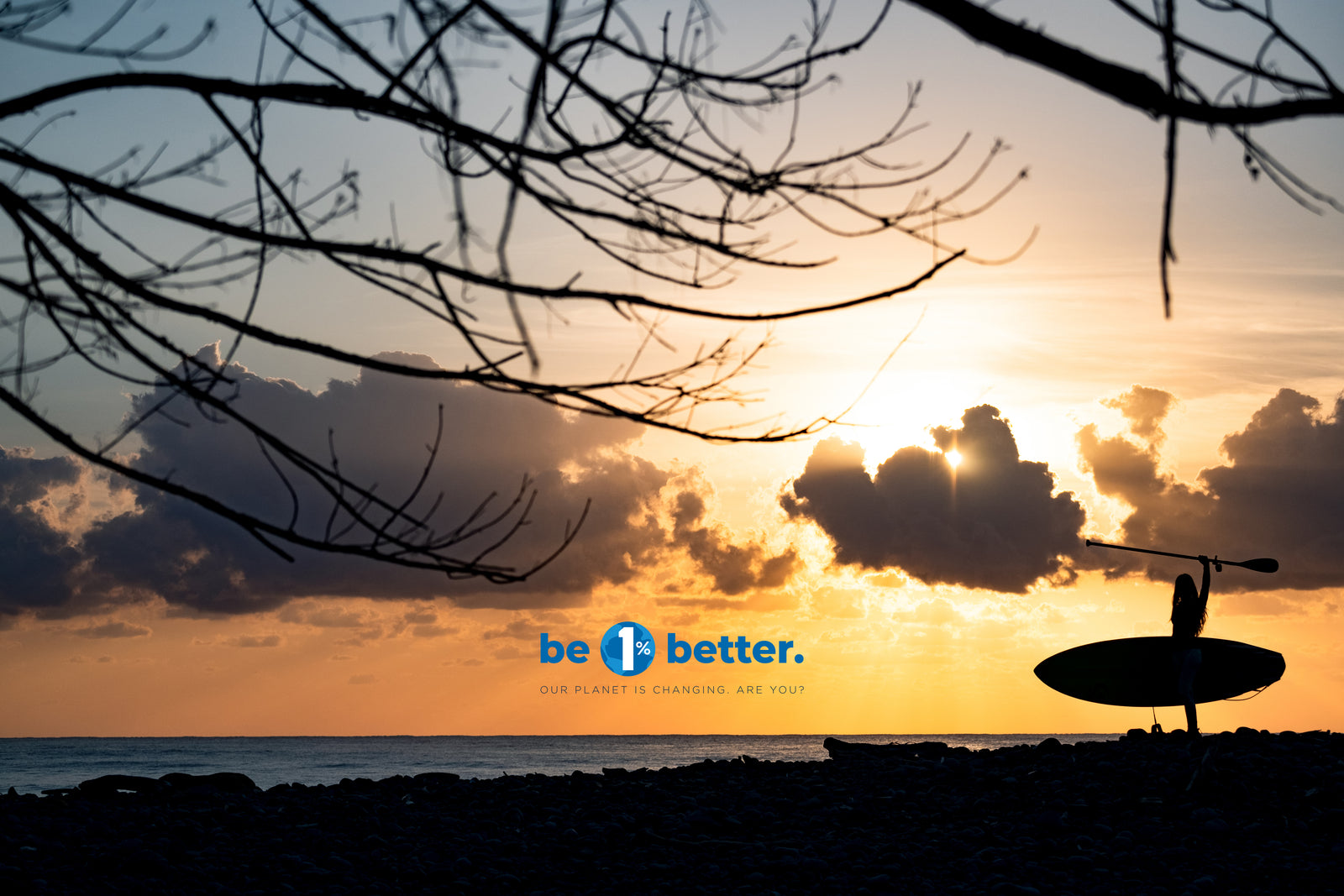 SQUID 1% for the planet